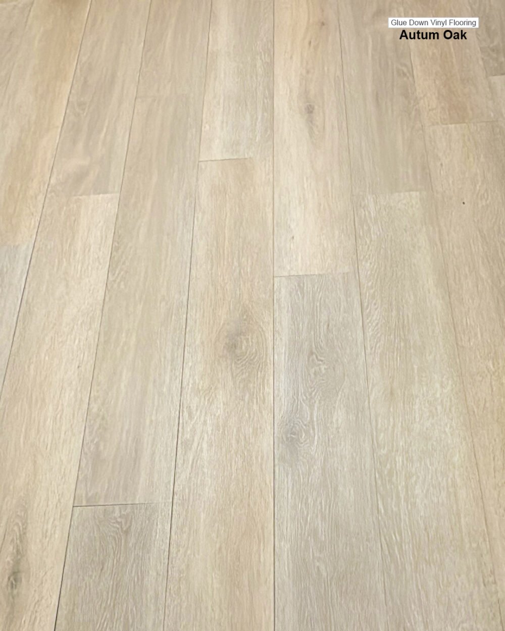 LVT Glue Down. Color:  Autumn Oak 7.37" x 48.30" - Image 3