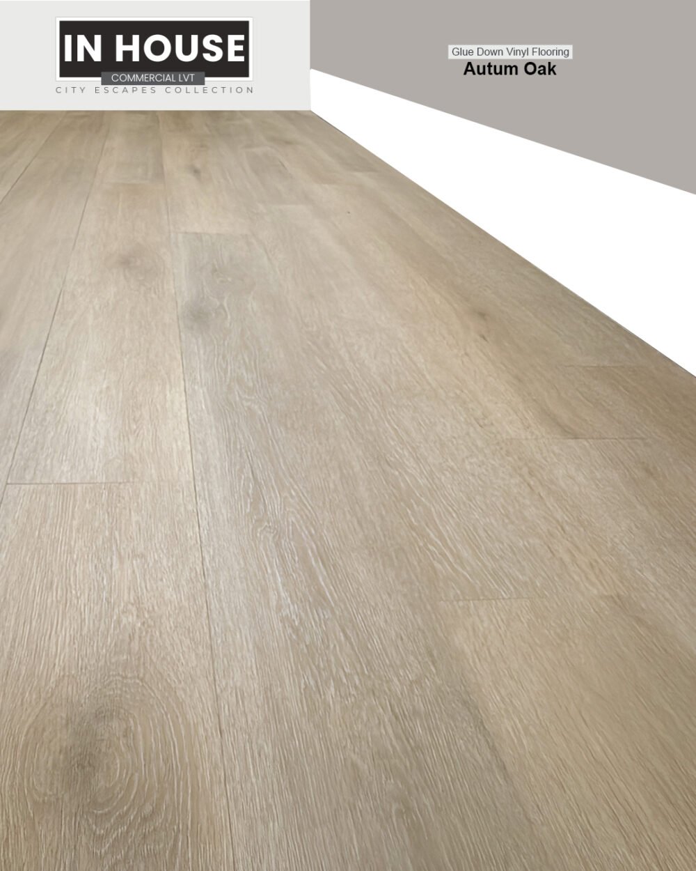 LVT Glue Down. Color:  Autumn Oak 7.37" x 48.30" - Image 2