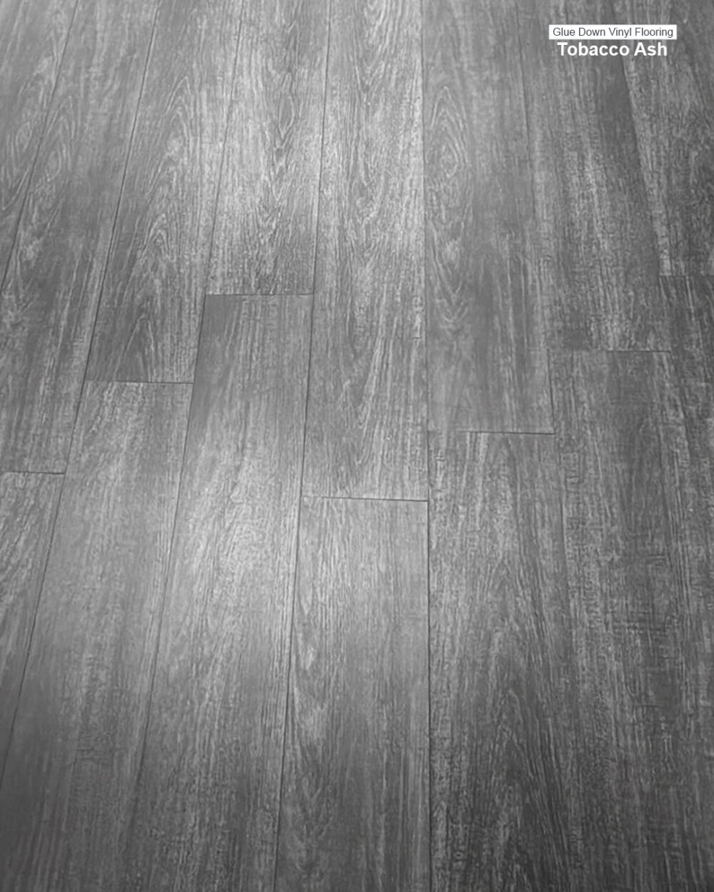LVT Glue Down. Color: Tobacco Ash 7.37" x 48.30" - Image 3